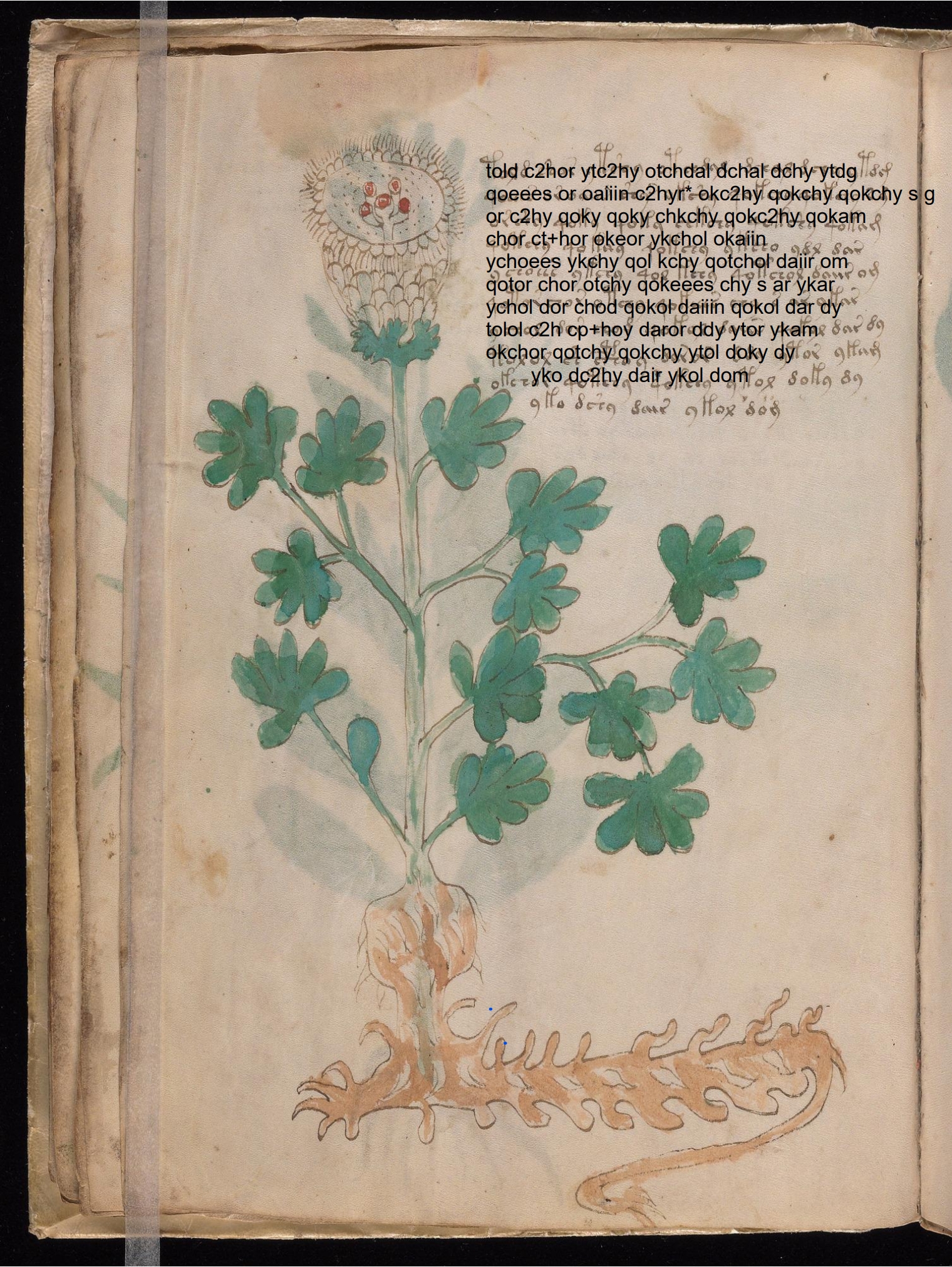 Folio 18v glyph overlay on parchment